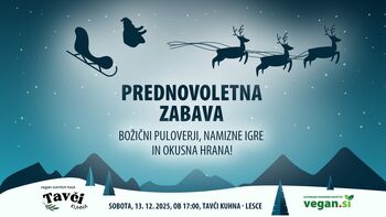Vegan Hangouts: Prednovoletna zabava