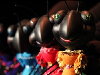 Štiri črne mravljice