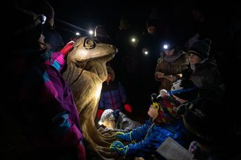 Pot močvirskih škratov na Mali plac - nočni voden pohod