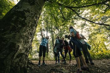Pot močvirskih škratov na Mali plac - voden pohod