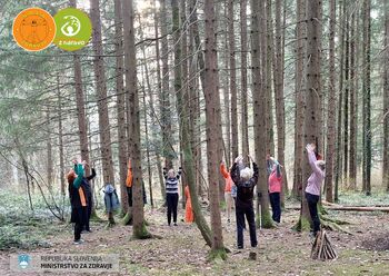 Prebudimo svojo energijo z aprilskim soncem in vadbo Dihamo z naravo