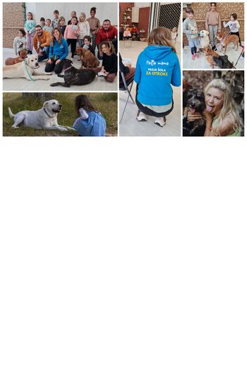  OTROŠKA DELAVNICA S KUŽKI