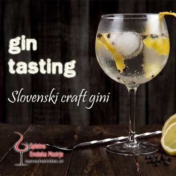 Degustacija slovenskih ginov
