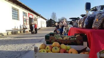 Nastop glasbene skupine Špilbanda na Tržnici Mavčiče 