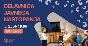 DELAVNICA JAVNEGA NASTOPANJA