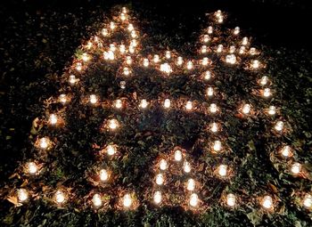 V polzelskem parku Šenek prižgali več kot 1500 čajnih svečk v kozarčkih