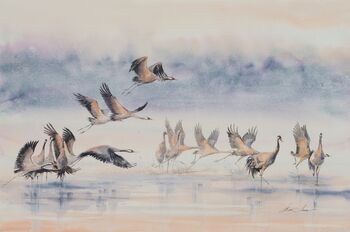 VI. mednarodni festival akvarela Castra 2025 - velik format - Lokarjeva galerija