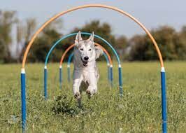 HOOPERS tečaj - za začetnike in nadaljevalce