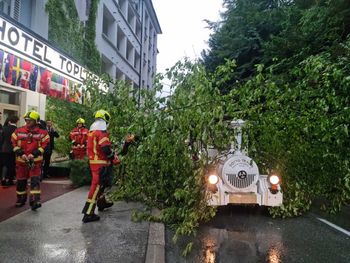 NA TURISTIČNI VLAKEC PADLO DREVO