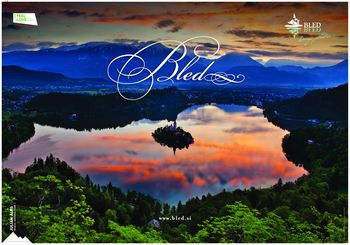 Odgovor na pismo občanke: »Direktovanje “na zaupanje“«