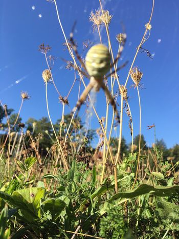 PISMO OBČANKE: Odziv na “povabilo k tvornemu sodelovanju“ PISMO OBČANKE: Odziv na “povabilo k tvornemu sodelovanju“