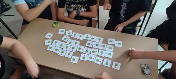 Projekt "Proč z invazivkami" na Bledu že 10 let