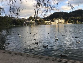 RAZMIŠLJANJE OBČANKE BLEDA: Bled – turistična občina zamolčanih nastanitev