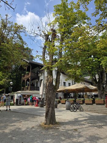 Delovanje Komisije za urejanje zelenih površin v Občini Bled