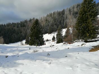 29. pohod na GALETOVEC