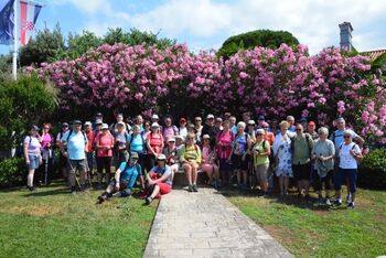 Planinsko društvo Bled - dejavnosti