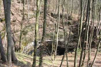 Po poteh kraških skrivnosti: Koliševke v Logatcu
