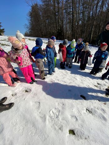 Gozdni škratki našli medvedove sledi