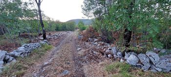 Odprta javna obravnava Načrta sanacije poškodovanih gozdov v požaru na Goriškem Krasu