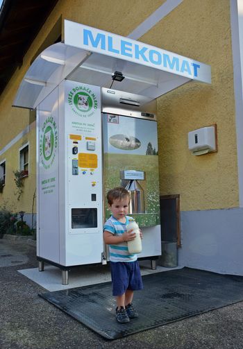 Na kmetiji Pr' Jurhc dan in noč sveže mleko