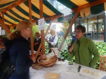 Veselo v poletje 2017