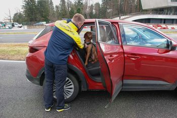 Kako pa vi vozite svojega psa?