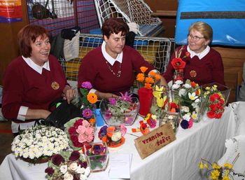 Parada učenja, široka paleta različnih vsebin Parada učenja, široka paleta različnih vsebin