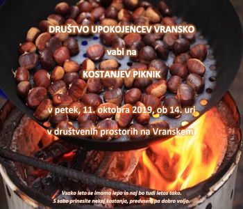 KOSTANJEV PIKNIK UPOKOJENCEV