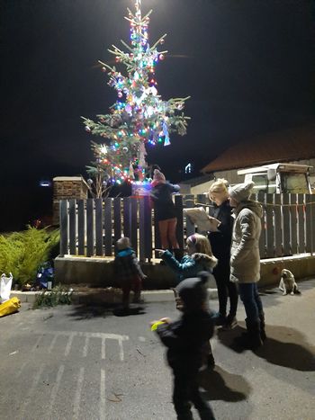 KRASITEV BOŽIČNO–NOVOLETNE SMREKE