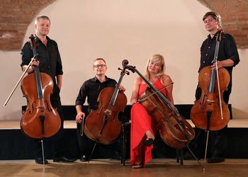 Vranski poletni večeri - oživimo kulturno dediščino: KVARTET VIOLONČEL SIMFONIČNEGA ORKESTRA RTV SLOVENIJA