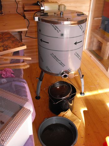 V ŠOLSKEM ČEBELNJAKU SMO TOČILI MED V ŠOLSKEM ČEBELNJAKU SMO TOČILI MED