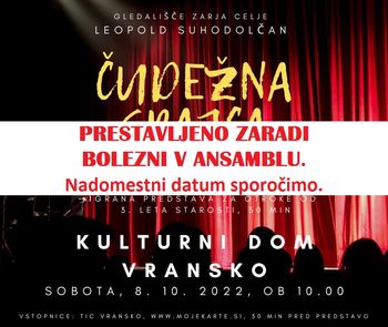 ČUDEŽNA SRAJCA, otroški abonma in izven