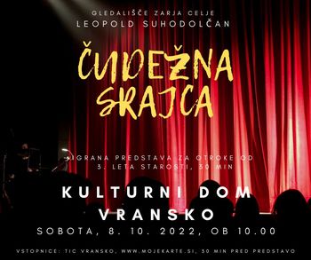 ČUDEŽNA SRAJCA, otroški abonma in izven