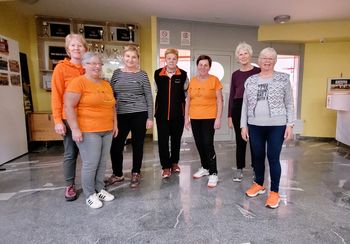 Vranske lastovičke in 1000 gibov za zdravo življenje