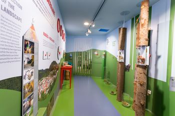 Brezplačen ogled Centra za obiskovalce z degustacijo geruša