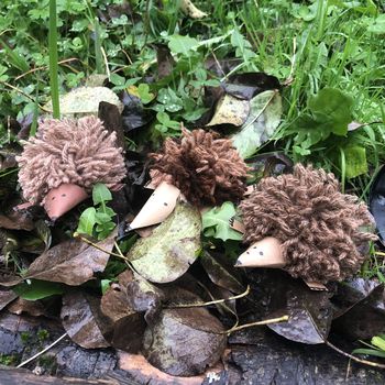 Krompirjeve počitnice v Geopaku Idrija