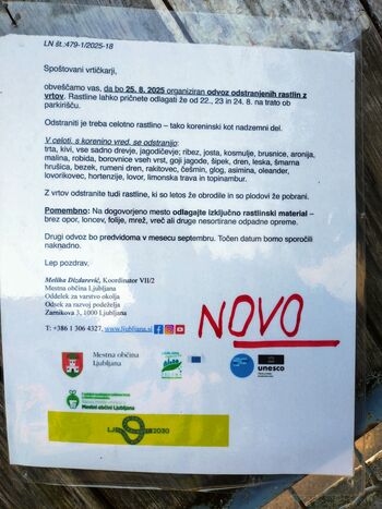 Ogorčenje med vrtičkarji na Ježici: občina prepovedala jagodičevje