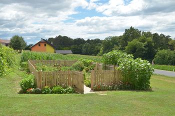 NAJ OGRAČEK in/ali brajda na Goričkon