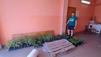 Dostava sadik po neurju