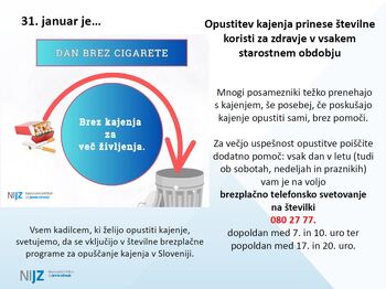 Dan brez cigarete Dan brez cigarete