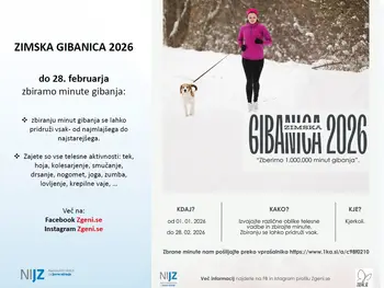 "Zimska gibanica"