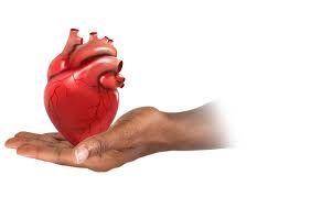 predavanje NAŠE SRCE