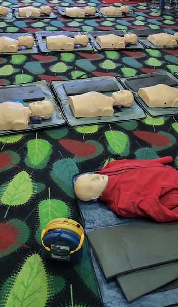 DAN ODPRTIH VRAT Z DEMONSTRACIJO TEMELJNIH POSTOPKOV OŽIVLJANJA