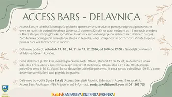 Sonja Žakelj - Access Bars – Delavnica Sonja Žakelj - Access Bars – Delavnica