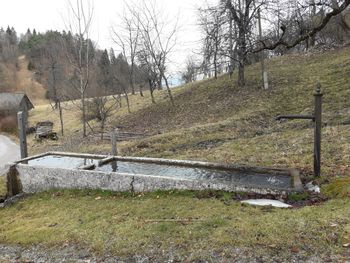 Korita, šterne, vodnjaki in perišča na Bledu ali kaj je od njih ostalo Korita, šterne, vodnjaki in perišča na Bledu ali kaj je od njih ostalo