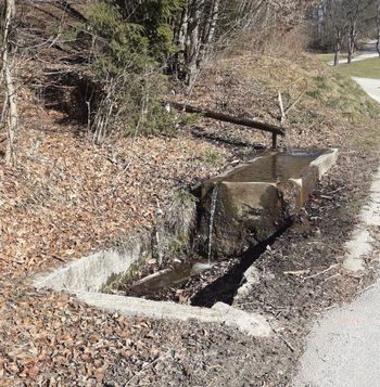 Korita, šterne, vodnjaki in perišča na Bledu ali kaj je od njih ostalo – nadaljevanje