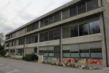 Osnovna šola - izjava avtorja