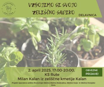 Vzgojimo si svojo zeliščno sadiko
