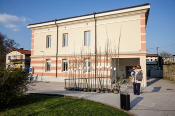 Občina Miren–Kostanjevica že deset let novorojenčkom podarja lipe