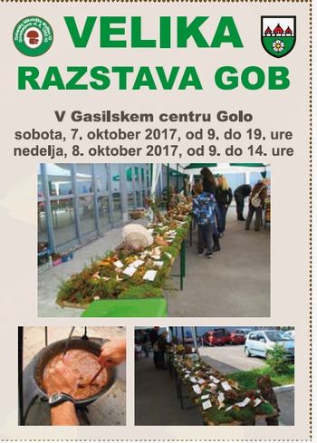 Velika razstava gob